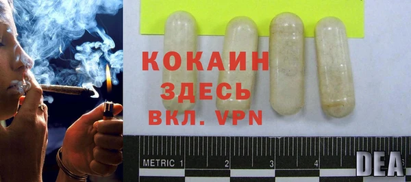 кокс Алексин