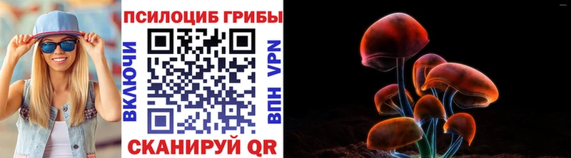 Псилоцибиновые грибы Psilocybe  где купить   darknet состав  Евпатория 